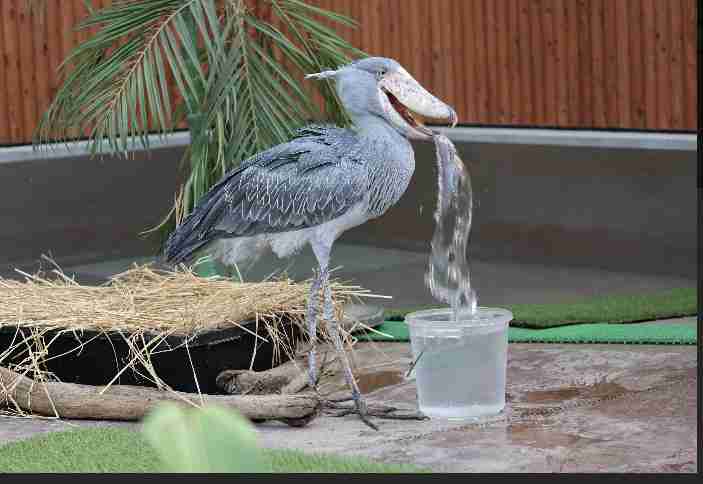 久々に都心に出たら下半身が際どすぎる服を見かけたけど流行ってる？→マジで流行ってるらしい