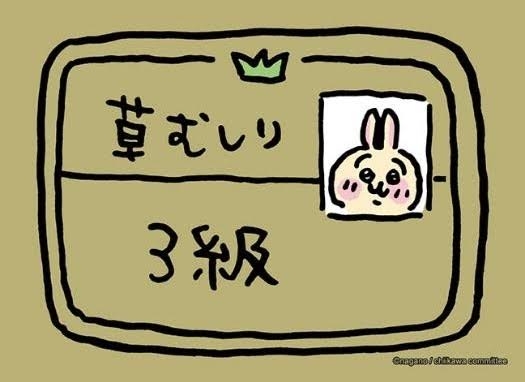 国家資格、難関資格を持っている方!