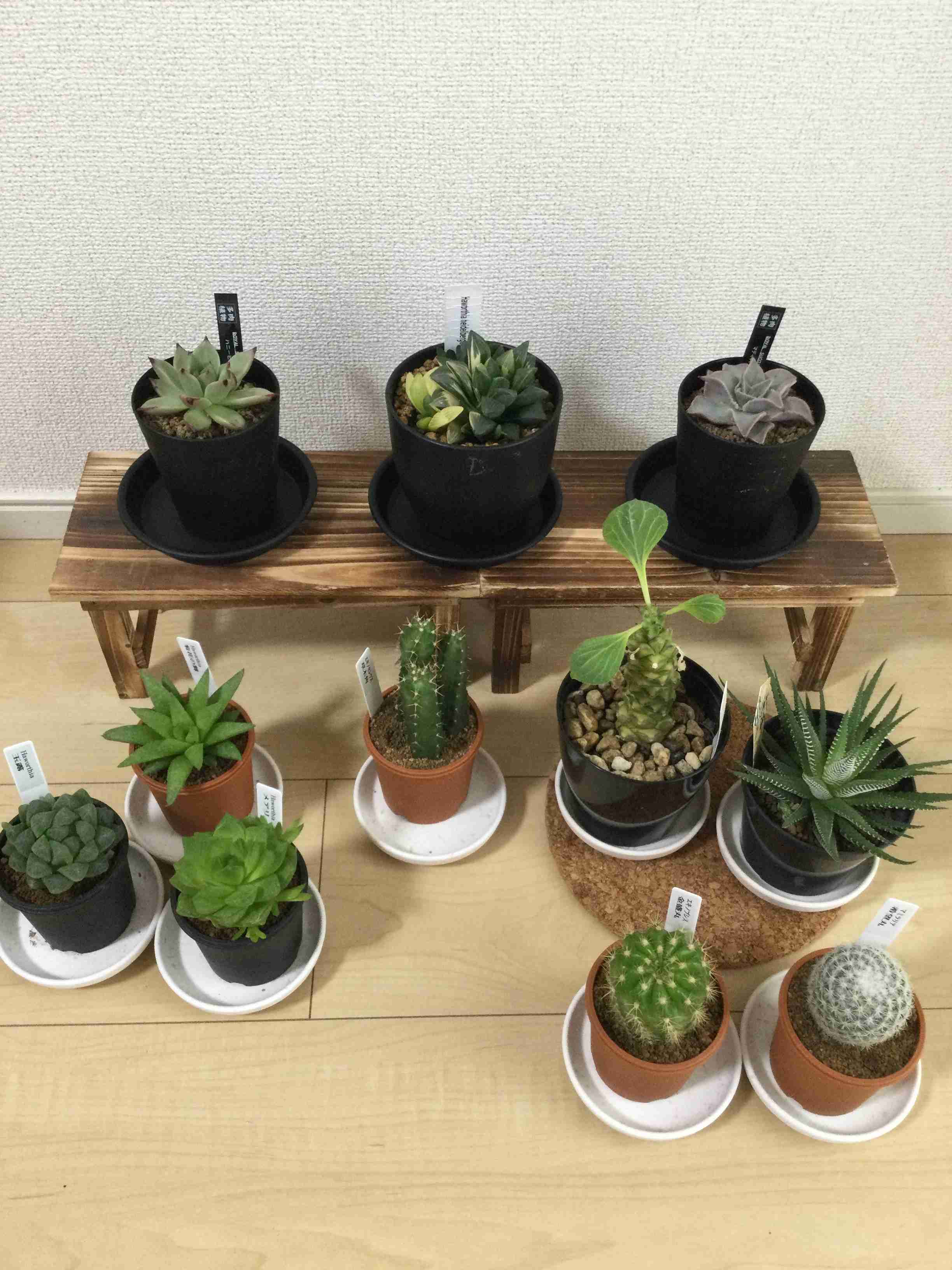 浪費家の方