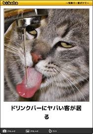 衛生的に大丈夫なのか心配になるもの