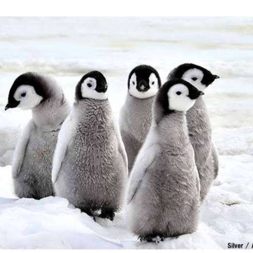 二人目妊活Part13