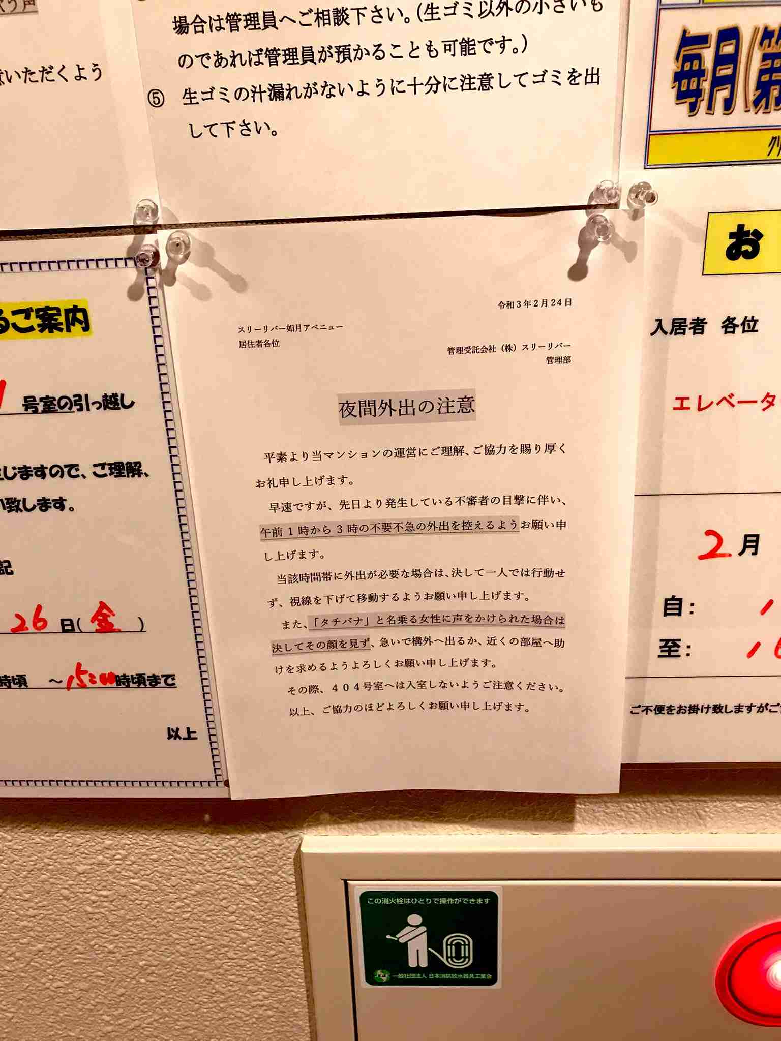 ほんのり怖い話が聞きたい!