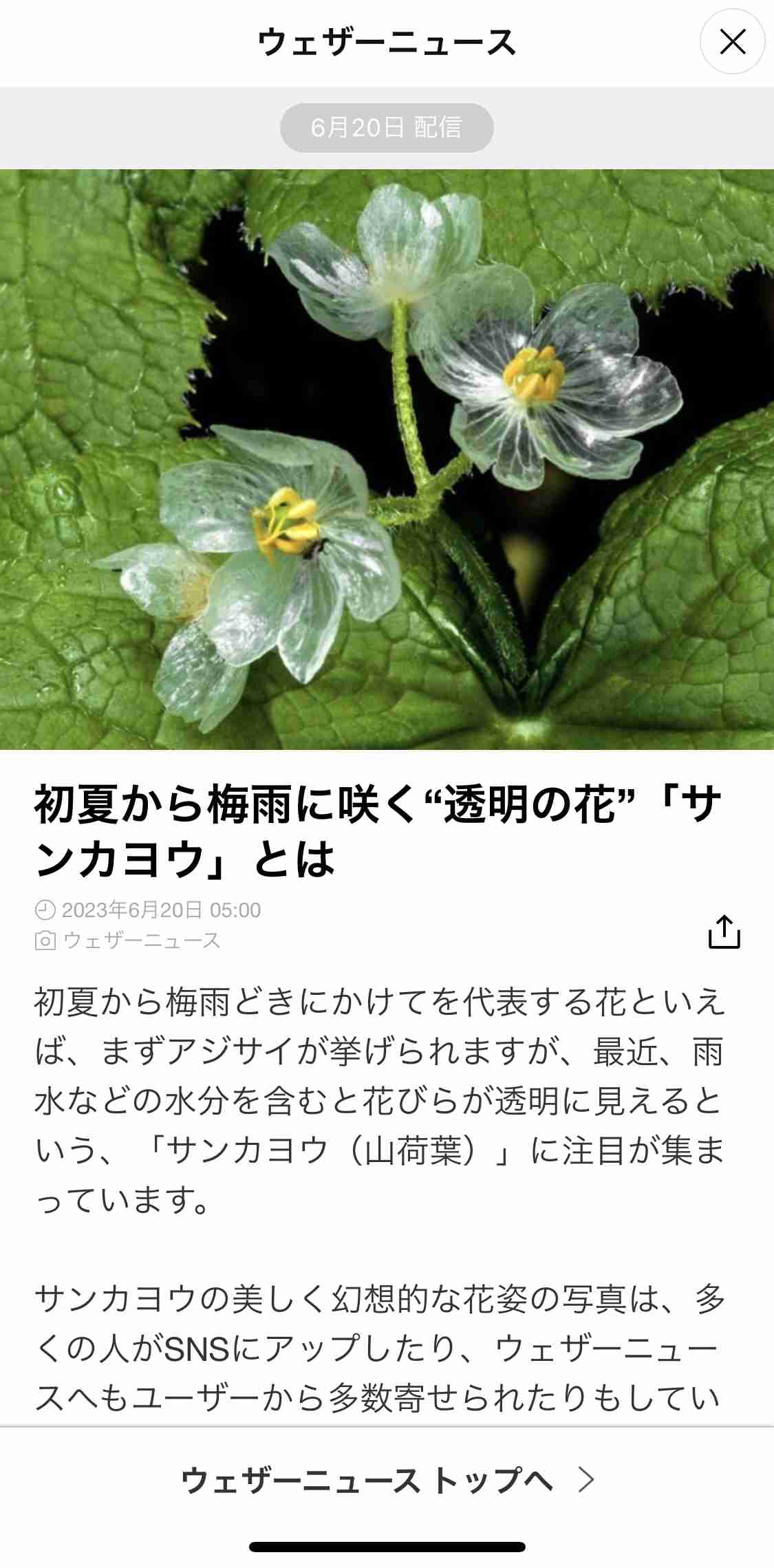 「ときめきメモリアルGirl's Side」を語りたい