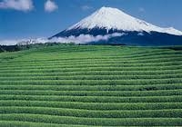 静岡県民だったら共感してくれそうなこと