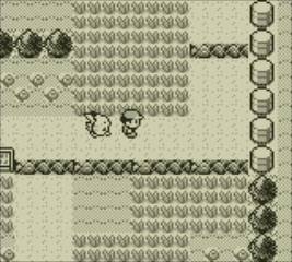 昔のポケモンのゲームあるある