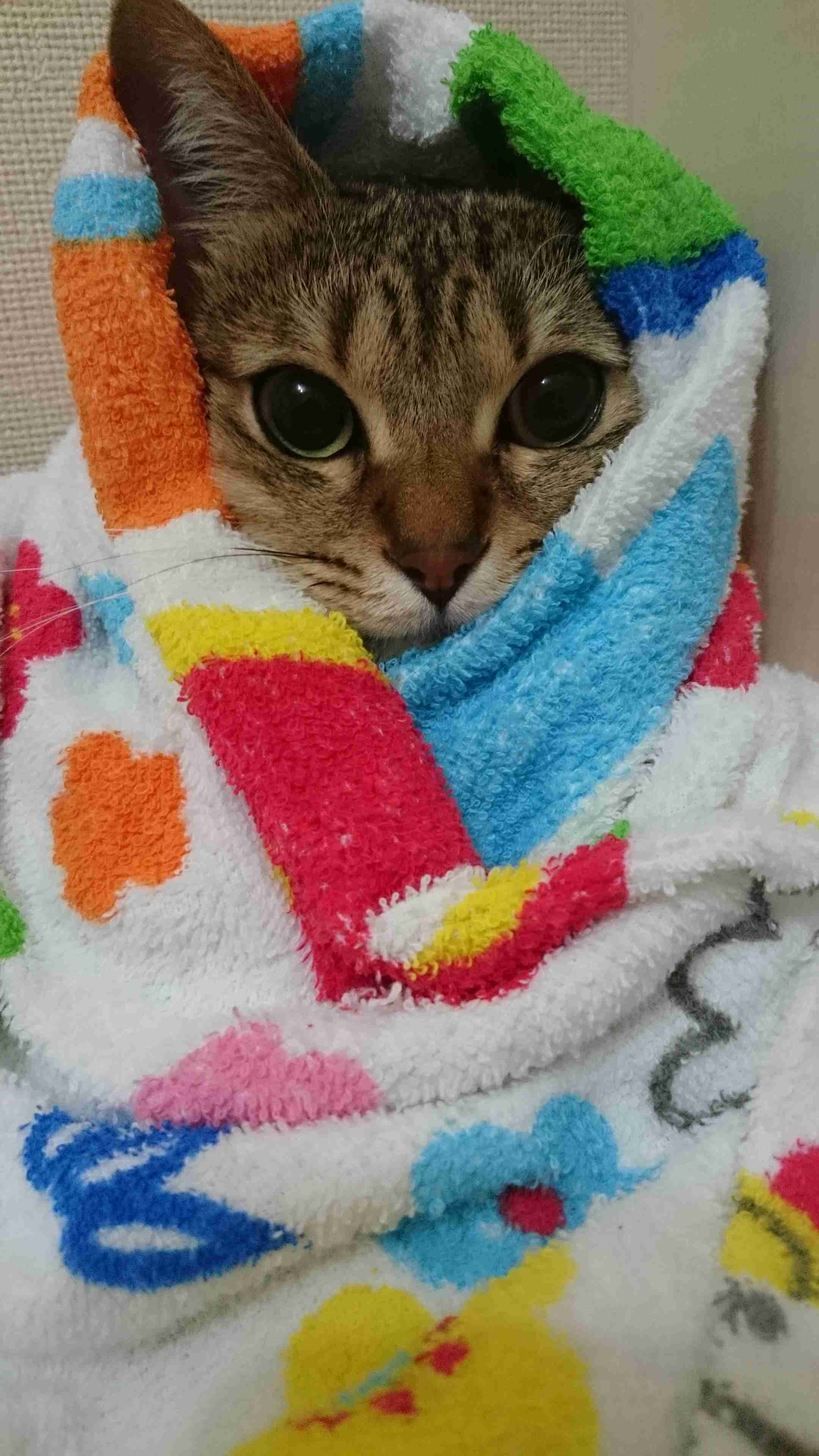 個人的に「あざとい…」と思うこと