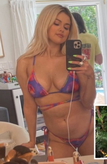 セレーナ・ゴメスがセレブ友のフォローを次々解除　SNSに嫌気さした？