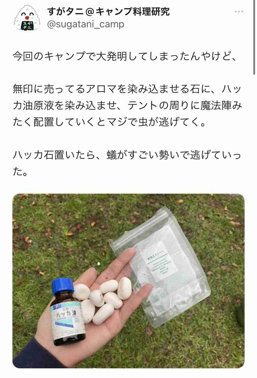 ハッカ油を使ってる人🍃