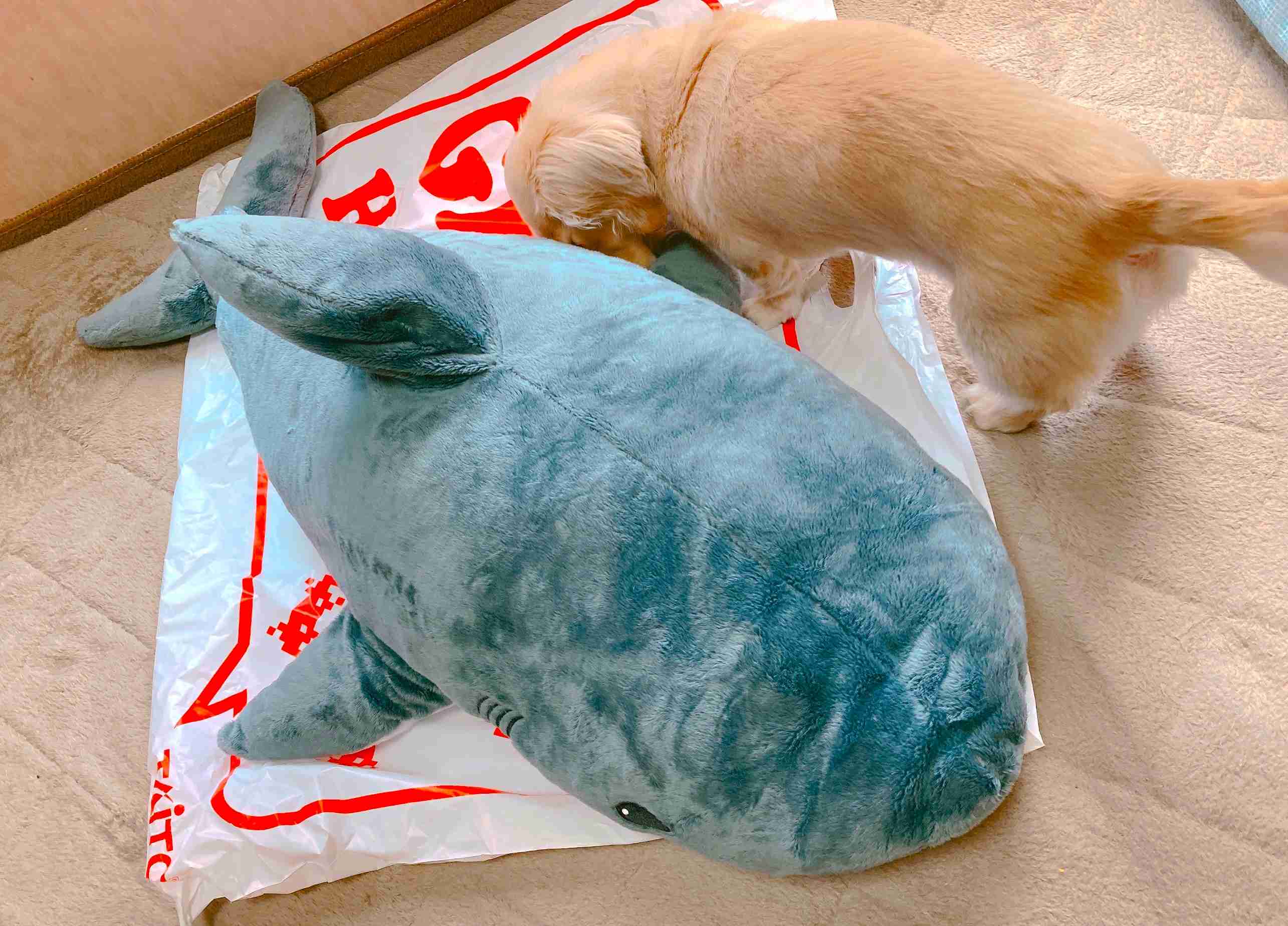 最近のクレーンゲーム事情