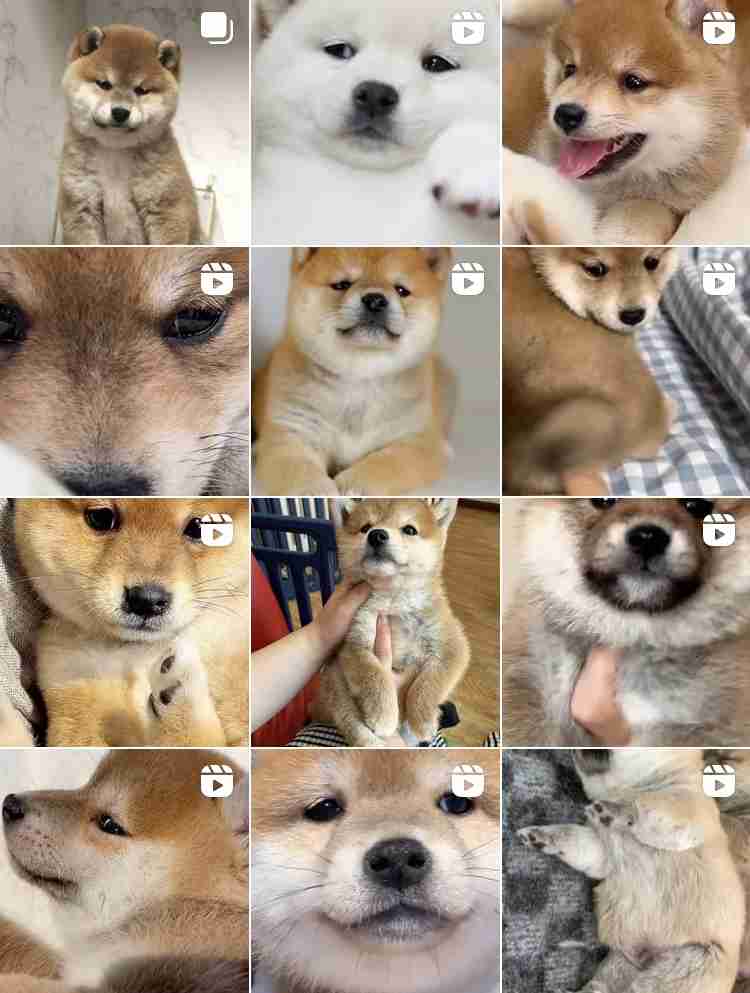 Instagramを嫌う人の心理