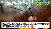 【テレビ】水曜日のダウンタウンで死ぬほど笑った説！