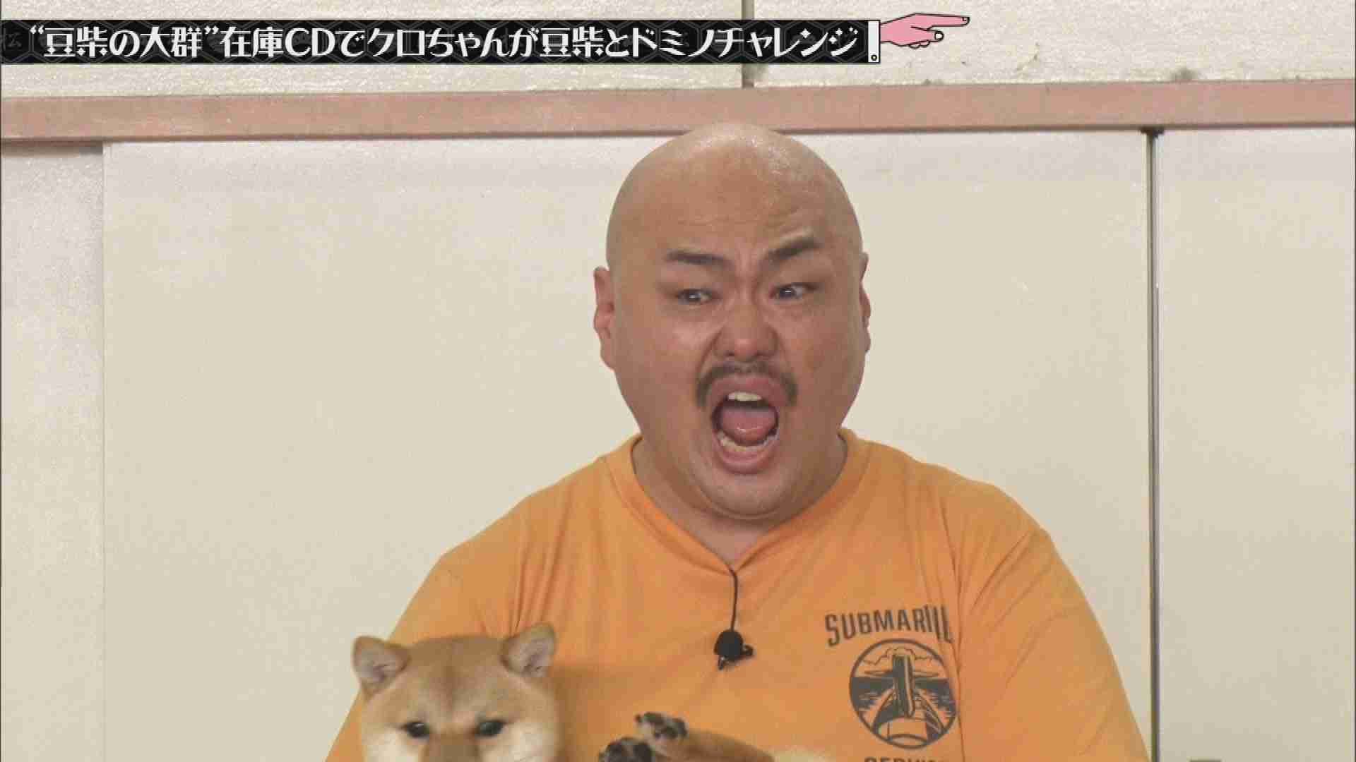 【テレビ】水曜日のダウンタウンで死ぬほど笑った説！