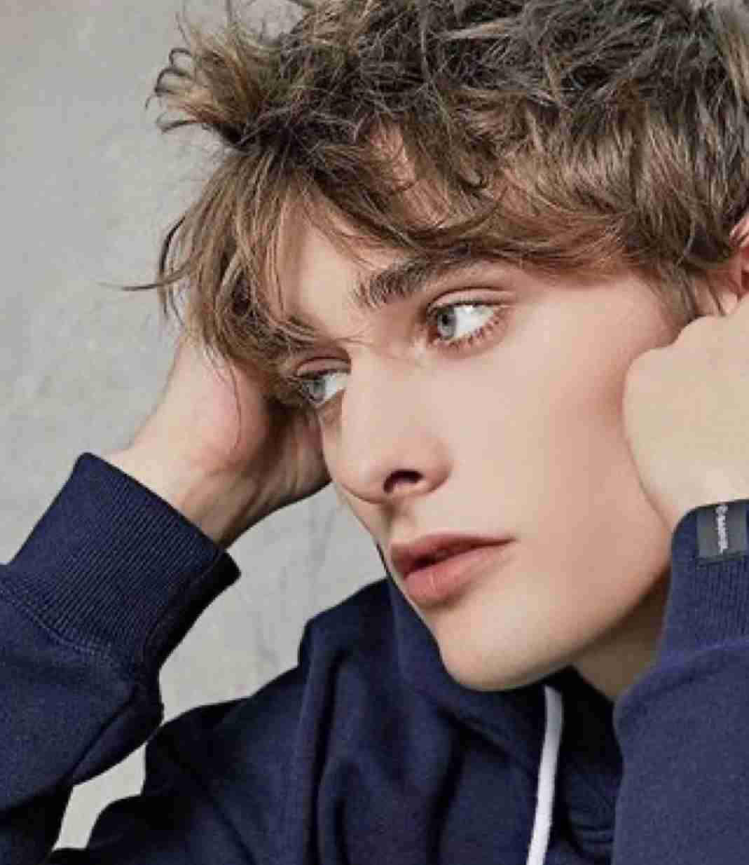 「ハリーポッター」のどこが好き?