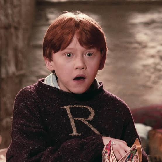 「ハリーポッター」のどこが好き?