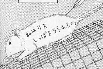 東京の繁華街でネズミの大群相次ぐ　コロナ明けと相関