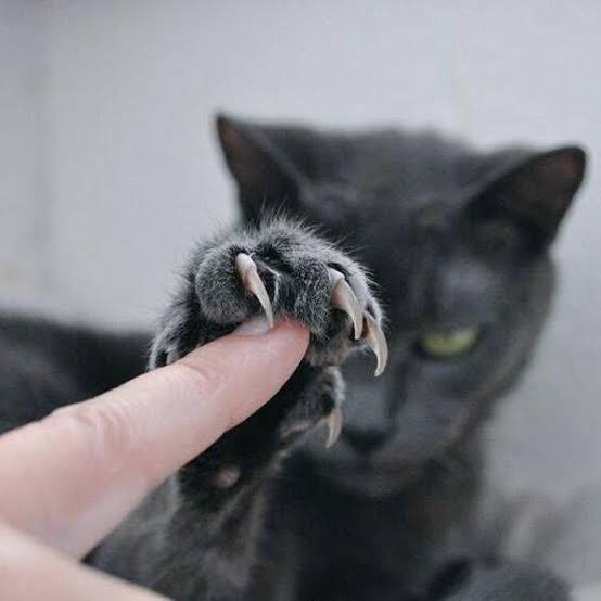 セルフネイル初心者