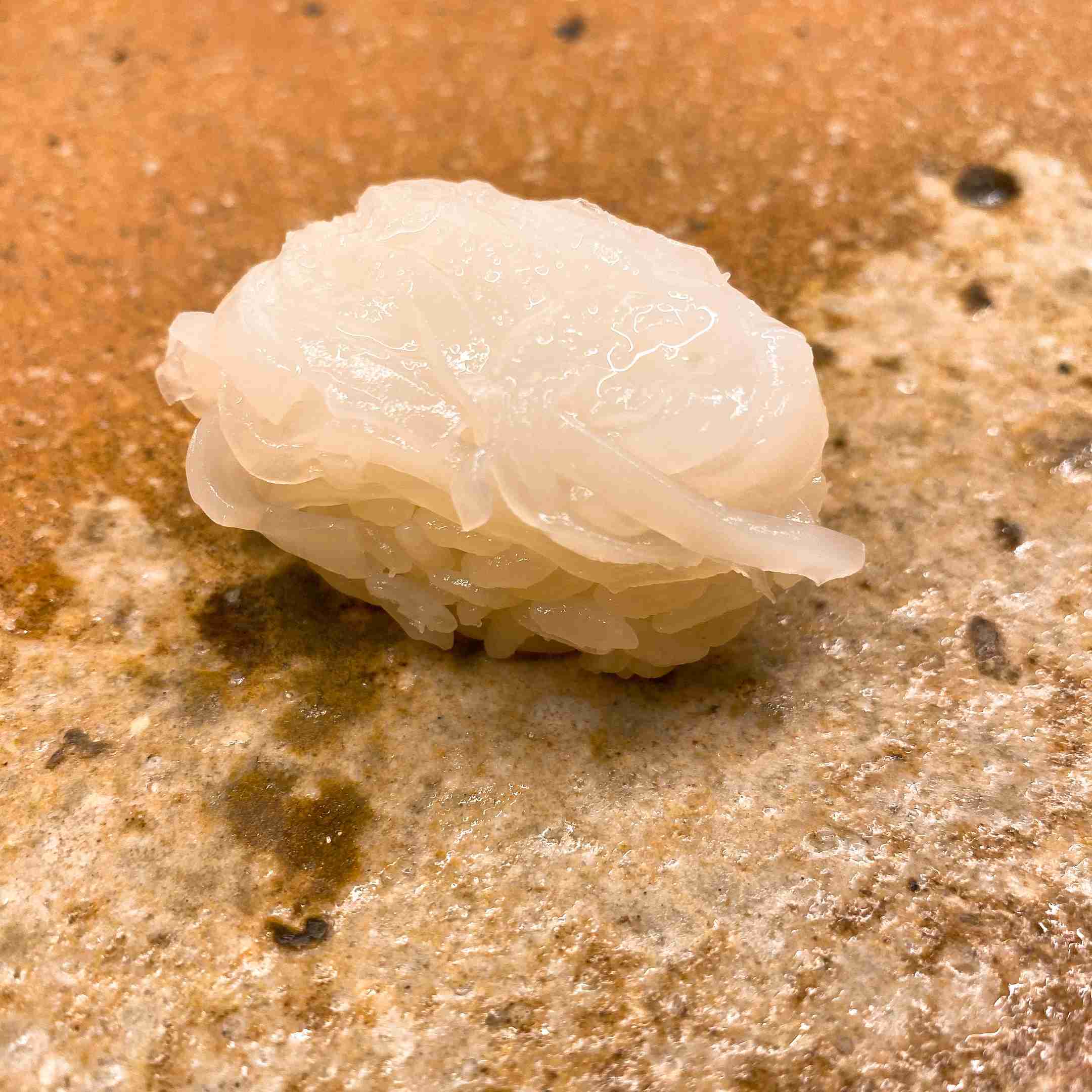 【深夜の飯テロ】スマホに入ってる食べ物画像見せて！Part11