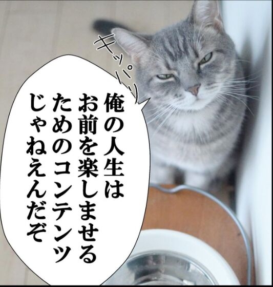子供の習い事の先生が持論を押し付けてくる