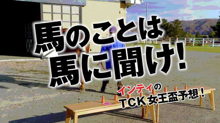 上げ馬神事 過去15年で4頭安楽死 県 見直し提案へ
