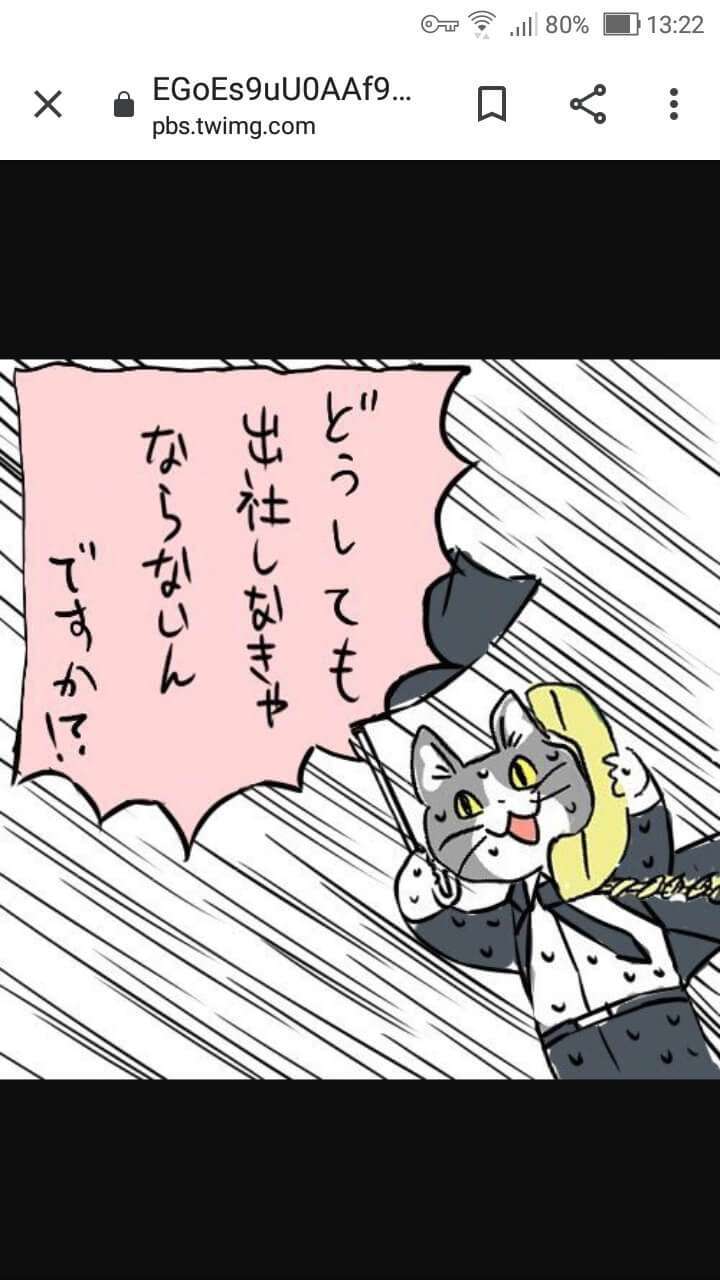 【情報交換】昨日の大雨被害に遭われた方