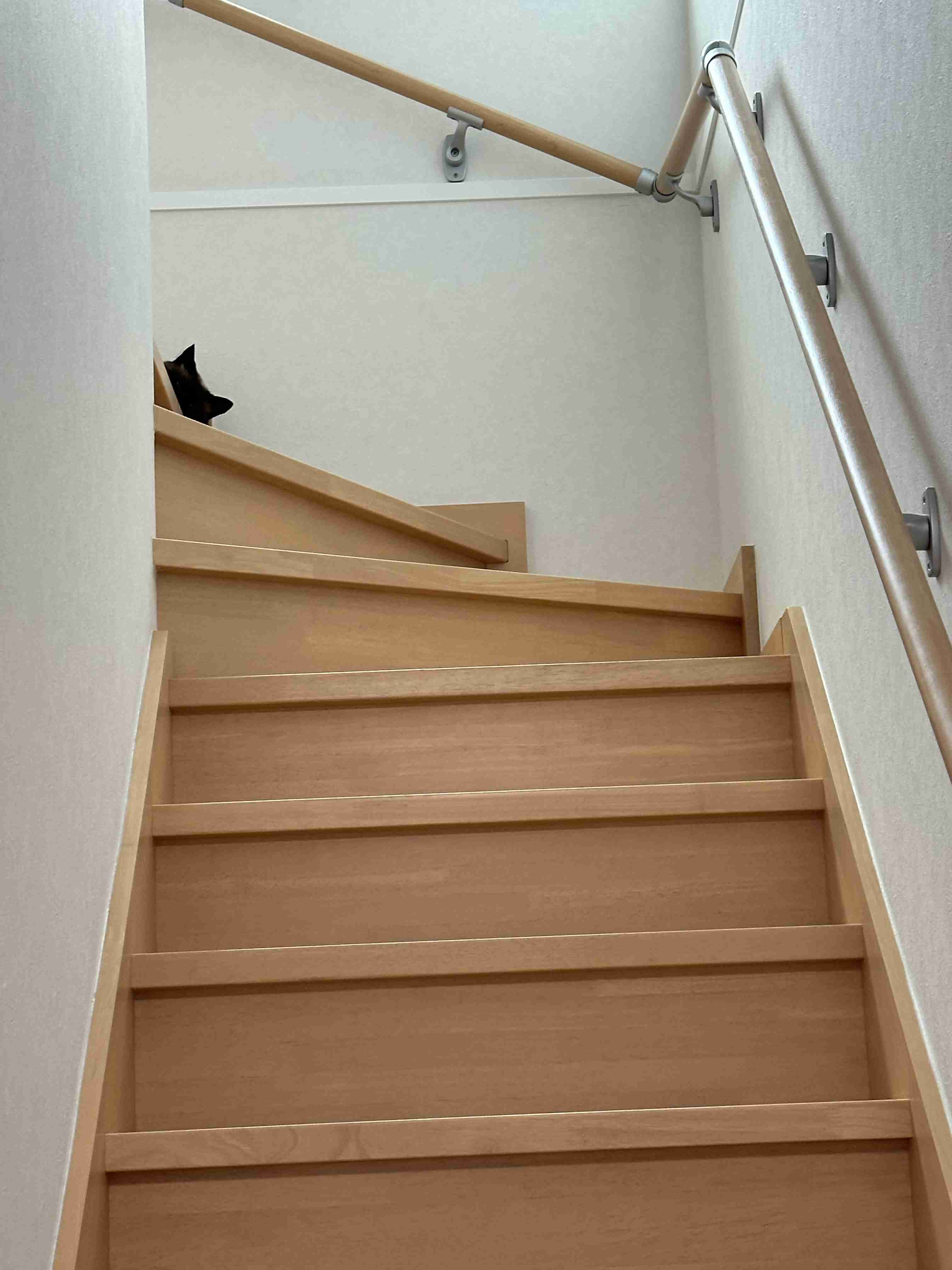 【身バレしない程度に】お宅の愛猫ちゃんを見せてください！part11 