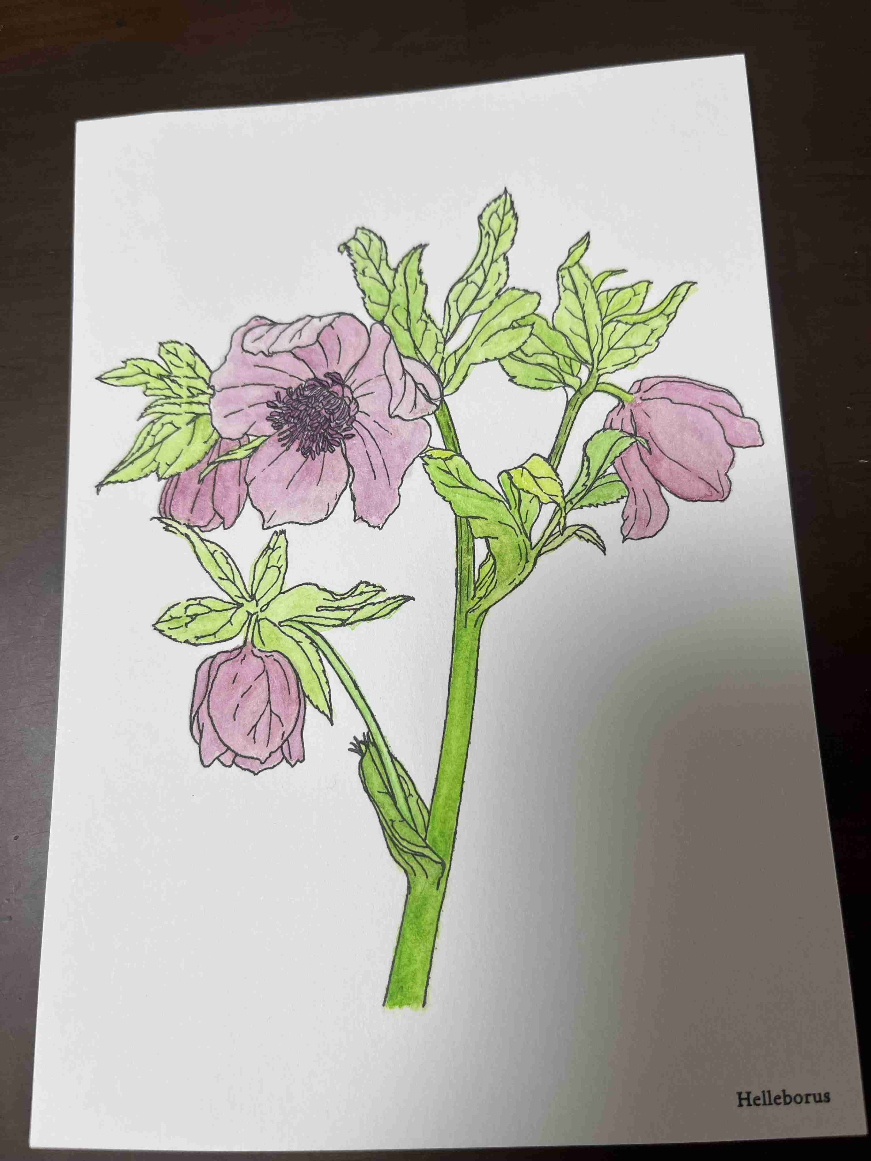 突然の休暇 何する？