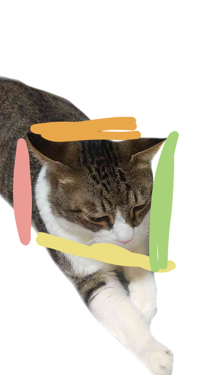 ペットの画像を貼ると詳しいガル民がパーソナルカラーを推測してくれるトピ