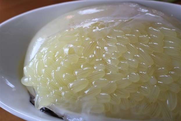 人生で1番美味しかったもの