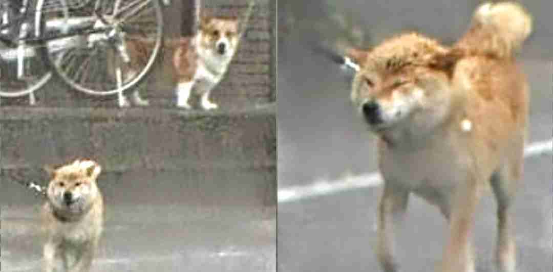 好きな人に“疲れる”ってこと