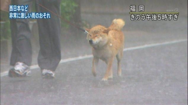 《台風2号の影響》雨沢山降ってますか？