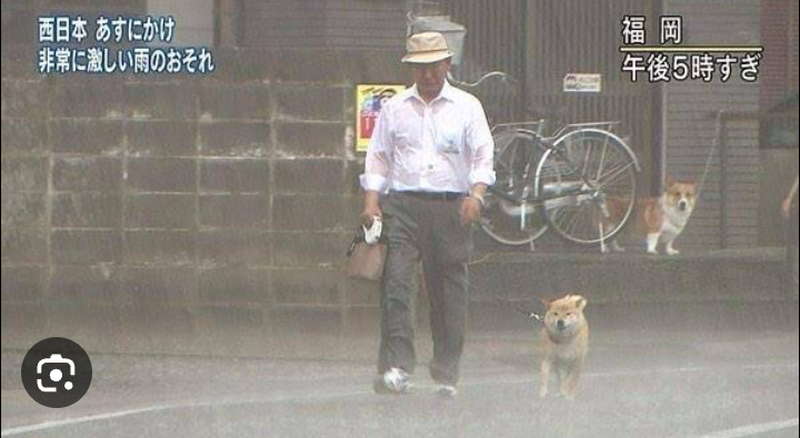 《台風2号の影響》雨沢山降ってますか？