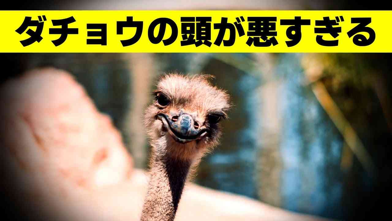 【汚部屋】バチクソ掃除片付けしたい