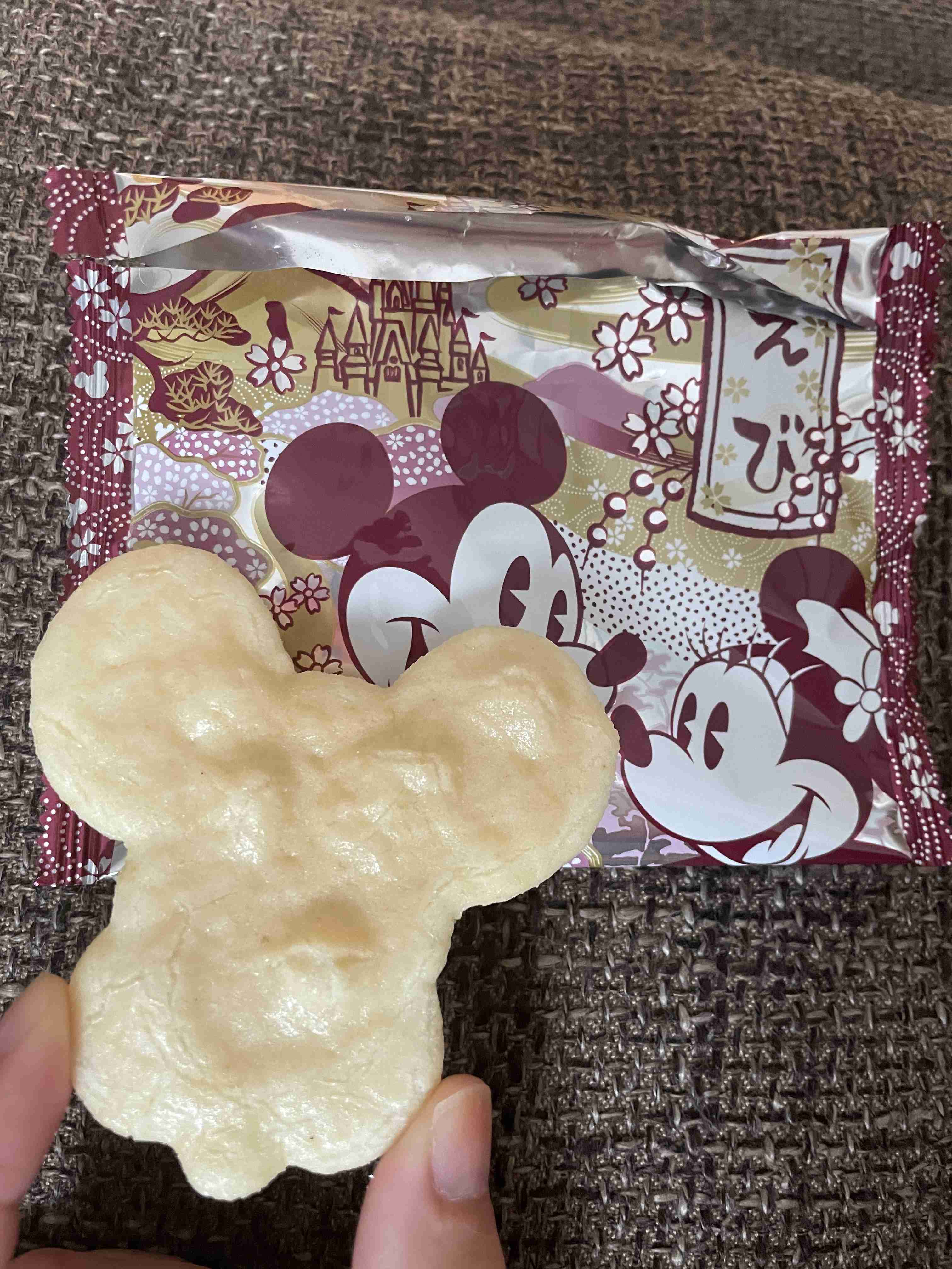 東京ディズニーリゾート、10月1日からチケット値上げ。大人は1万900円~7900円に