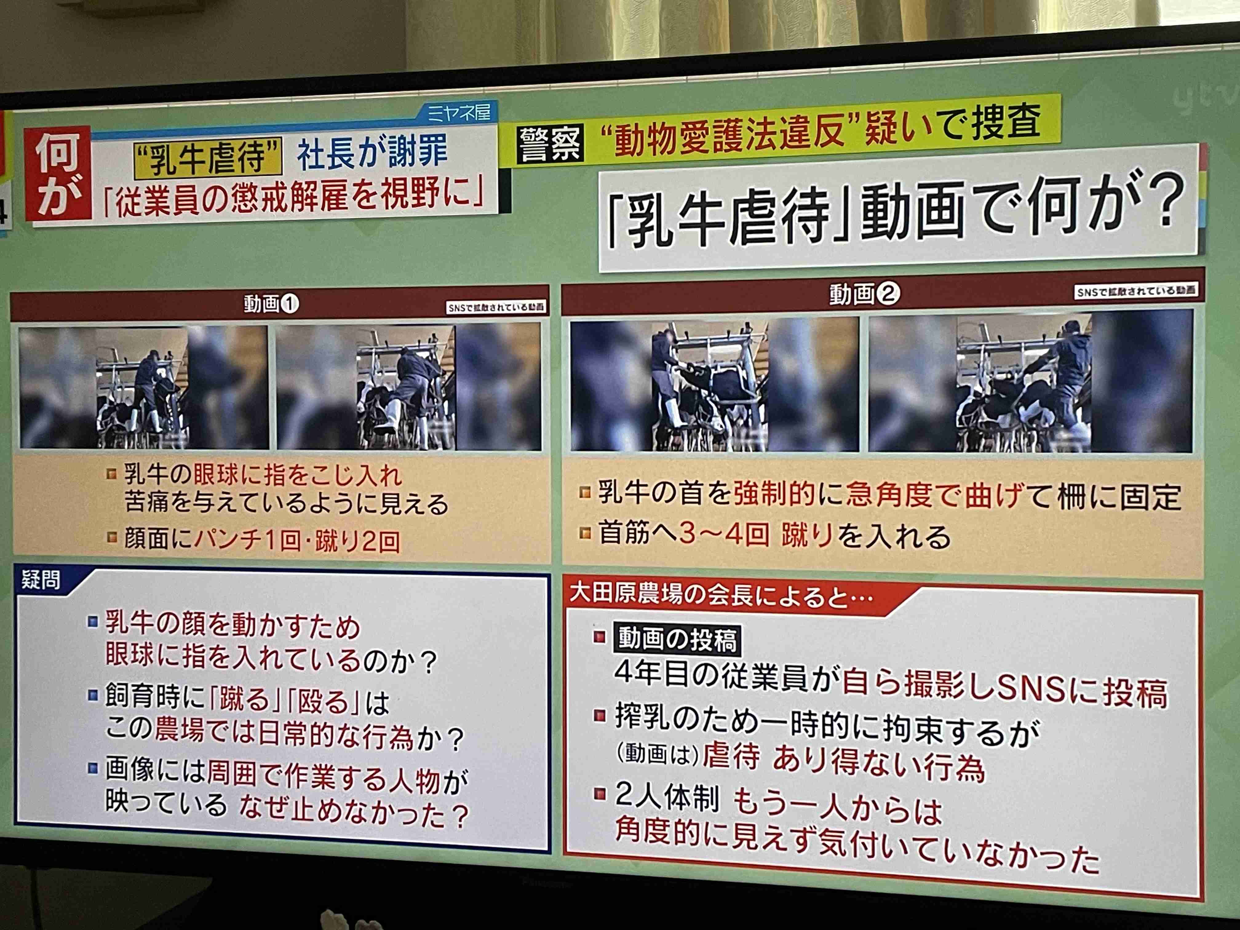 乳牛を殴る蹴る…TikTok動画拡散で物議　島根県畜産課「ありえない行為」、警察は動物虐待の疑いで捜査