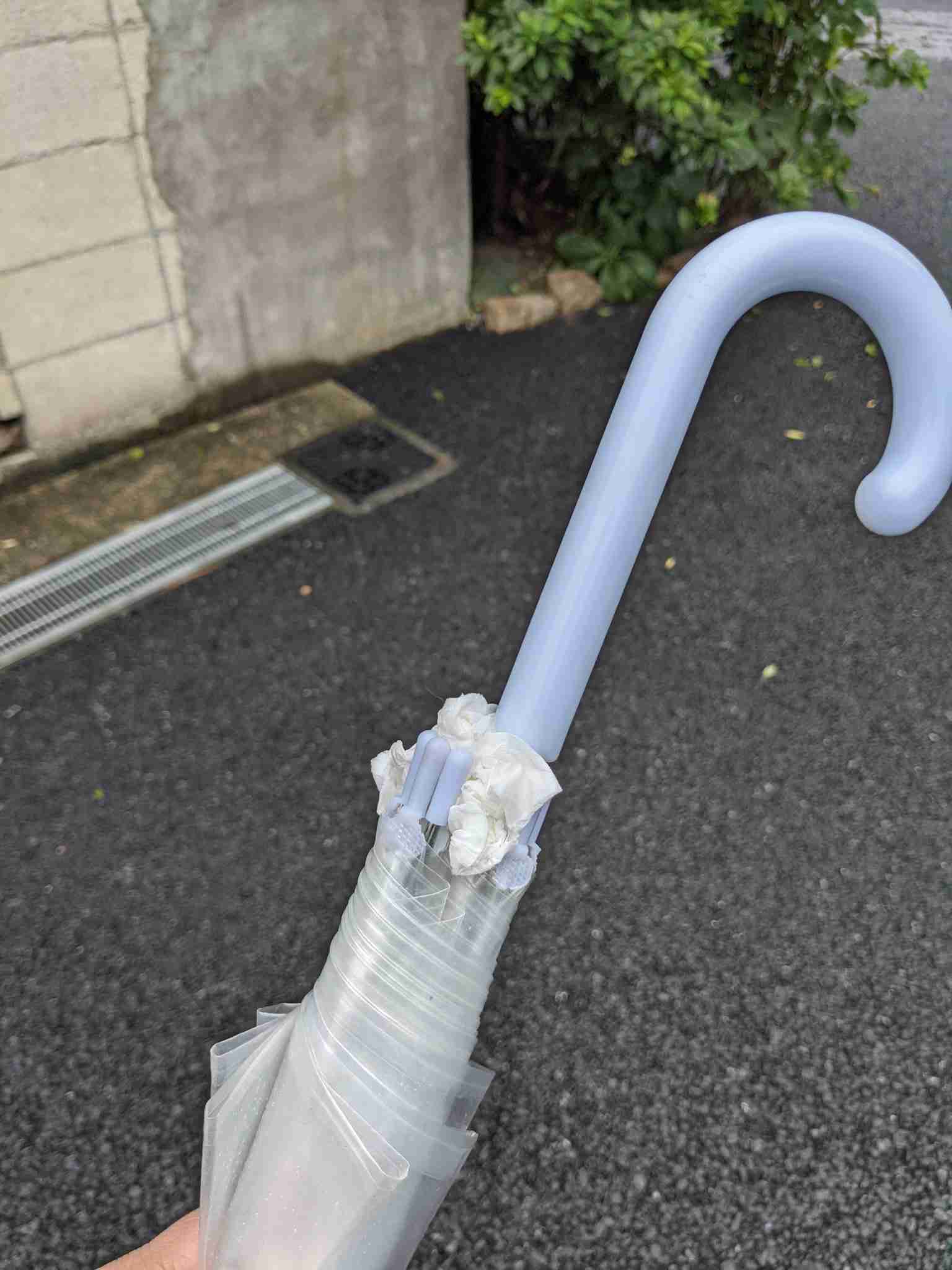 ネバネバだぁ…。食品サンプル愛好家が「絶対に持っていかれない傘」を作った結果→「触りたくない」「声出して笑った」