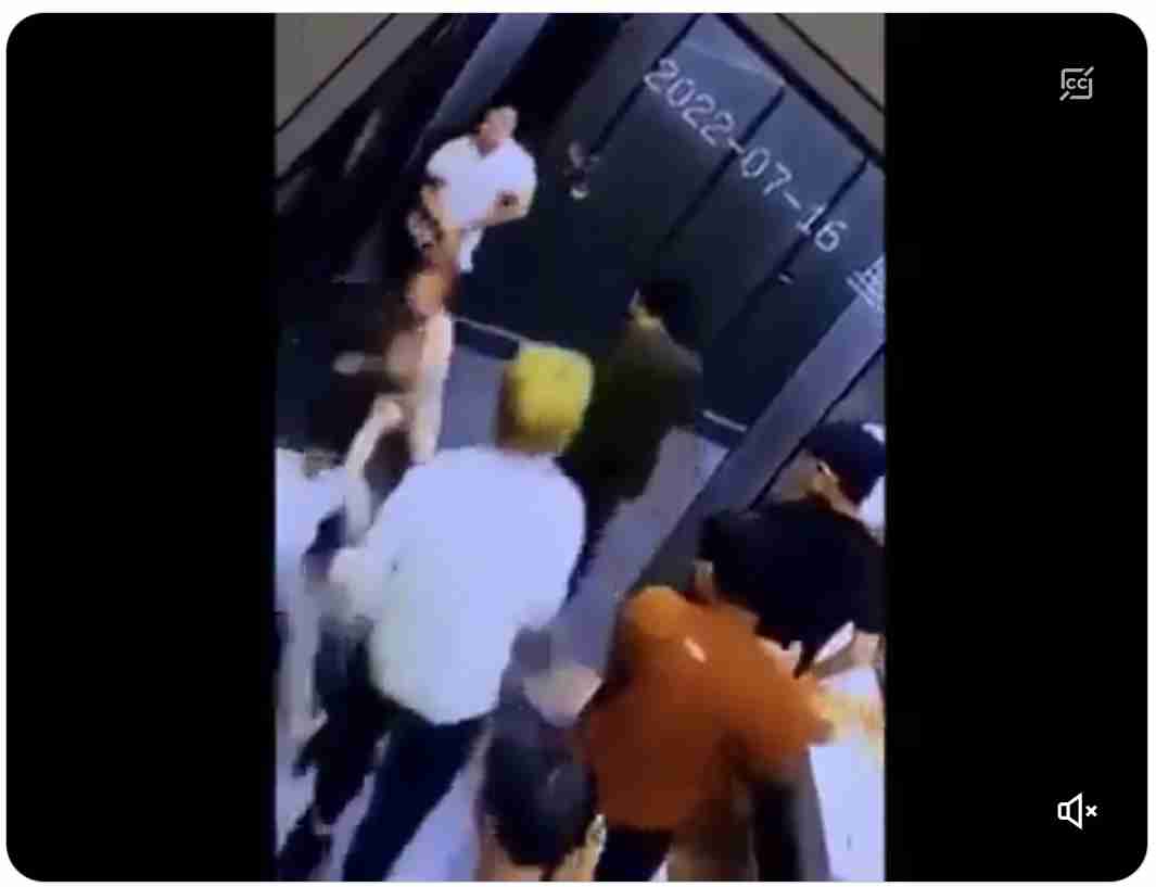 LGBT法案 与党案の修正案 衆院本会議で賛成多数で可決