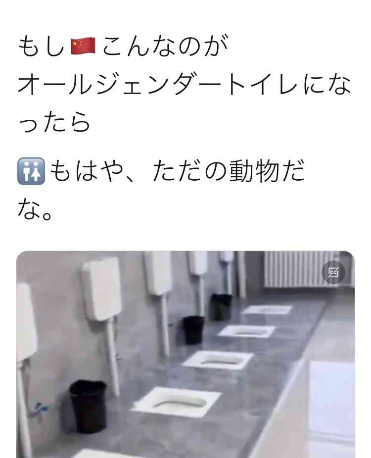 LGBT法案 与党案の修正案 衆院本会議で賛成多数で可決