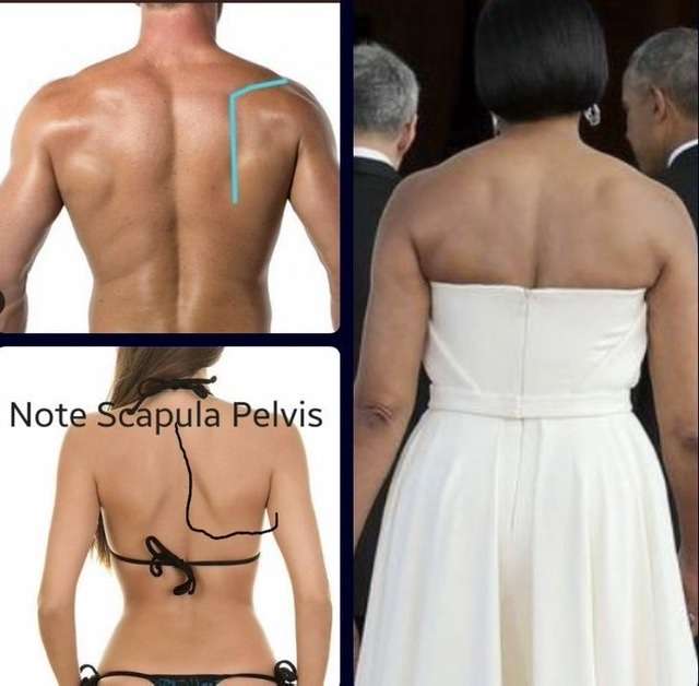 LGBT法案 与党案の修正案 衆院本会議で賛成多数で可決