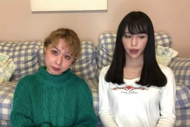 LGBT法案 与党案の修正案 衆院本会議で賛成多数で可決