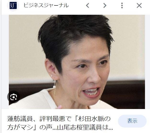 LGBT法案 与党案の修正案 衆院本会議で賛成多数で可決