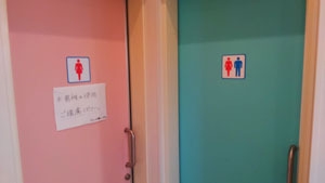 LGBT法案 与党案の修正案 衆院本会議で賛成多数で可決