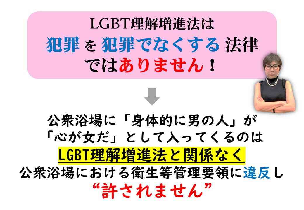 LGBT法案 与党案の修正案 衆院本会議で賛成多数で可決