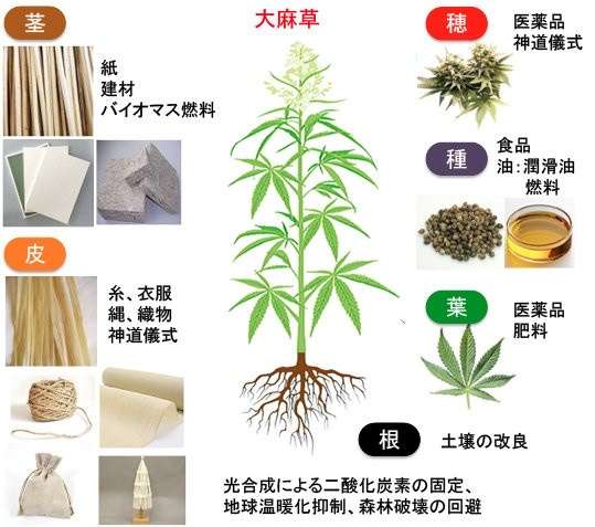 LGBT法案 与党案の修正案 衆院本会議で賛成多数で可決