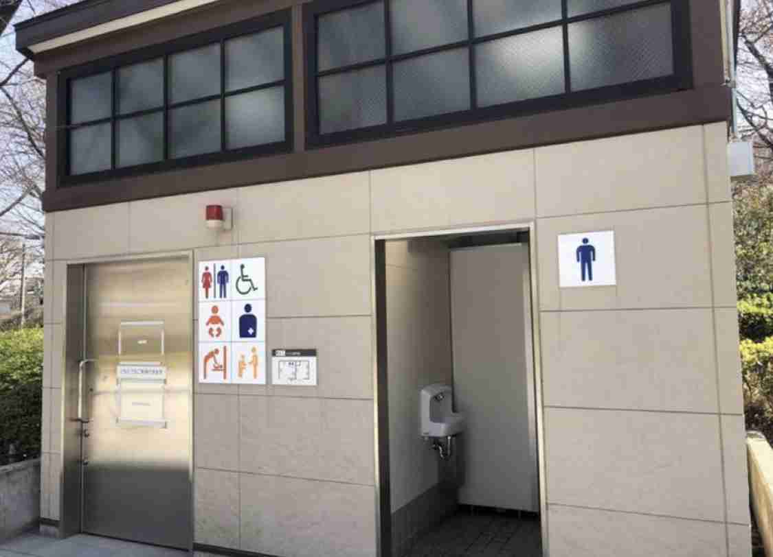 LGBT法案 与党案の修正案 衆院本会議で賛成多数で可決