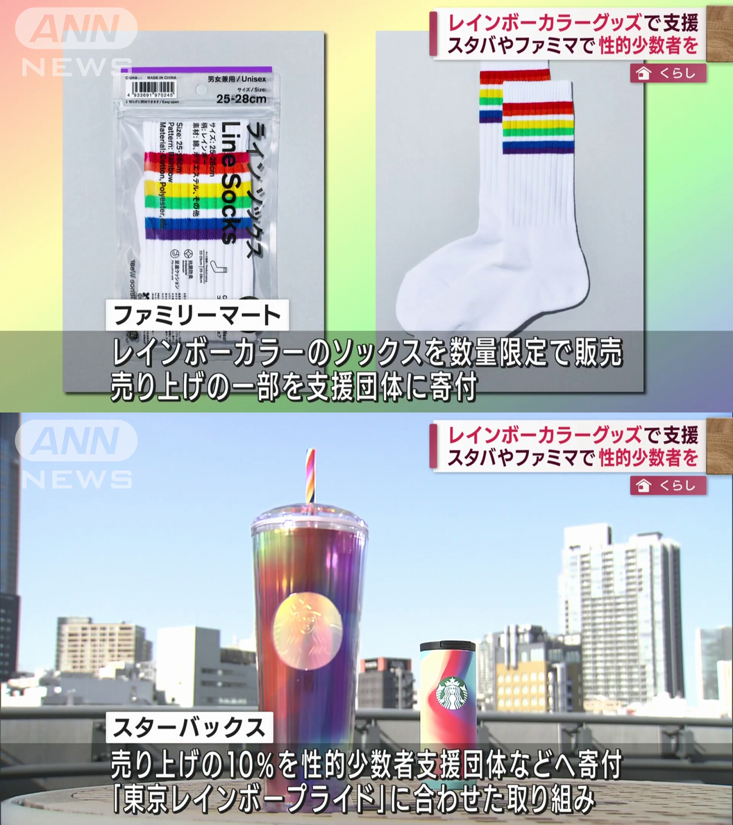 LGBT法案 与党案の修正案 衆院本会議で賛成多数で可決