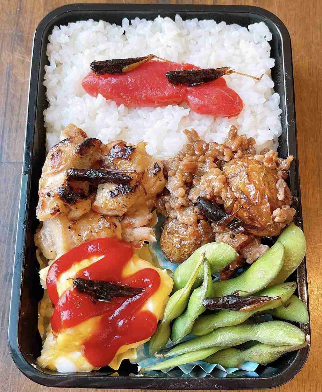 みきママ、大胆な「アスパラ6本巻き弁当」に賛否の声「豪快さ！最高」「切って食べやすくしてあげて」