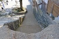 馬たたく行為、改善を指導　虐待批判の神事、三重県