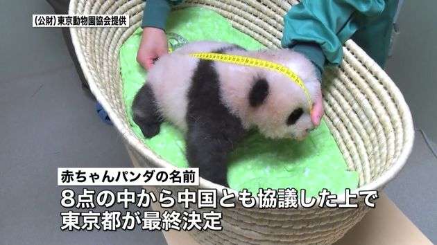 子供の頃に知りたかった職業