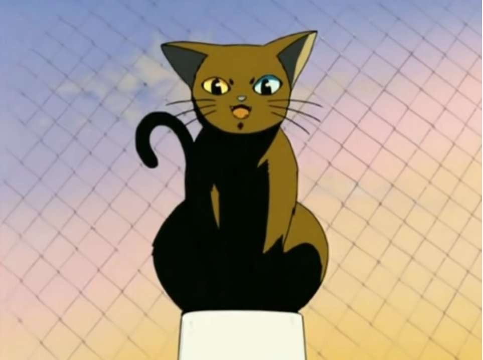 漫画、アニメに出てくる可愛い猫
