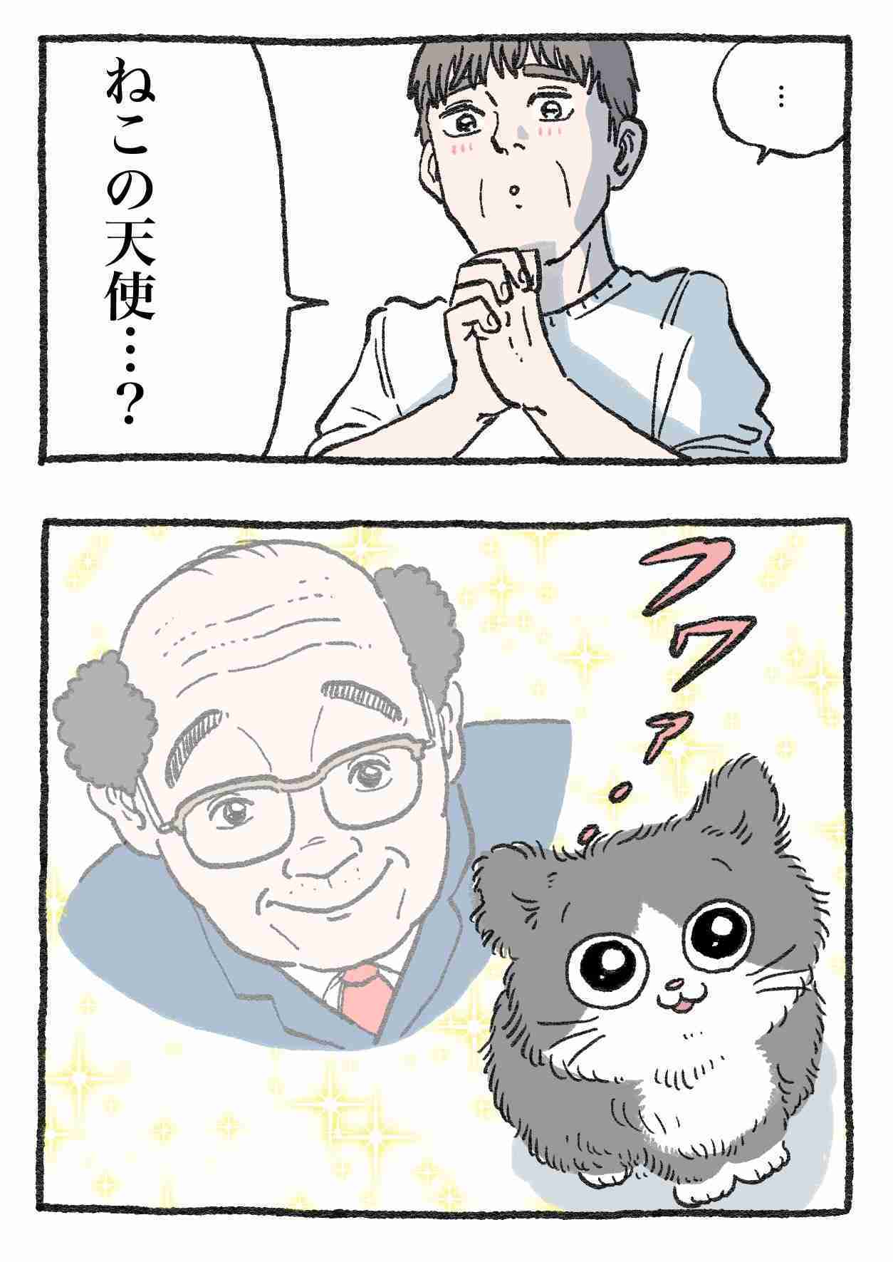 漫画、アニメに出てくる可愛い猫